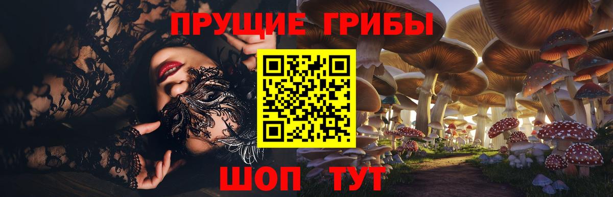Уссурийск  Псилоцибиновые грибы MAGIC MUSHROOMS  Галлюциногенные грибы MAGIC MUSHROOMS  Вход с VPN 